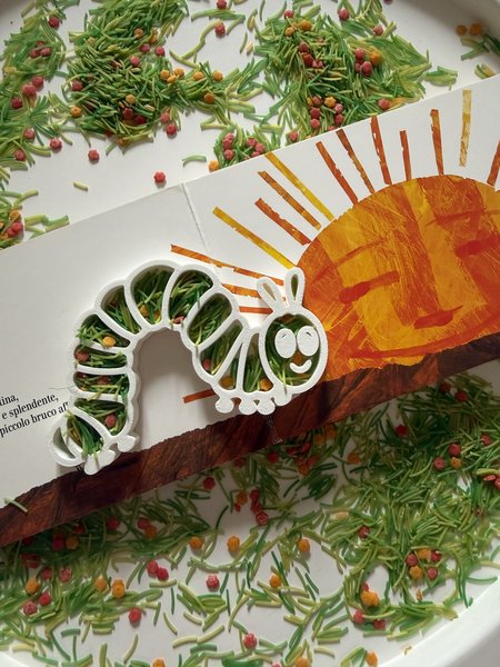 Set Ciclo di vita Farfalla — foto 3